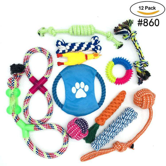 Assorted dog toys including ropes, rings, and a blue disc with a paw print on a white background.