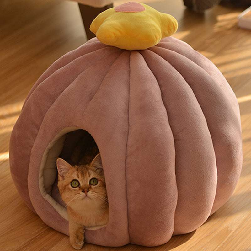 Cat peeking out from a pink pumpkin-shaped pet bed on a wooden floor