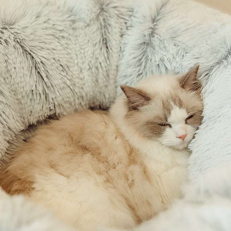 Cat sleeping on a fluffy white blanket