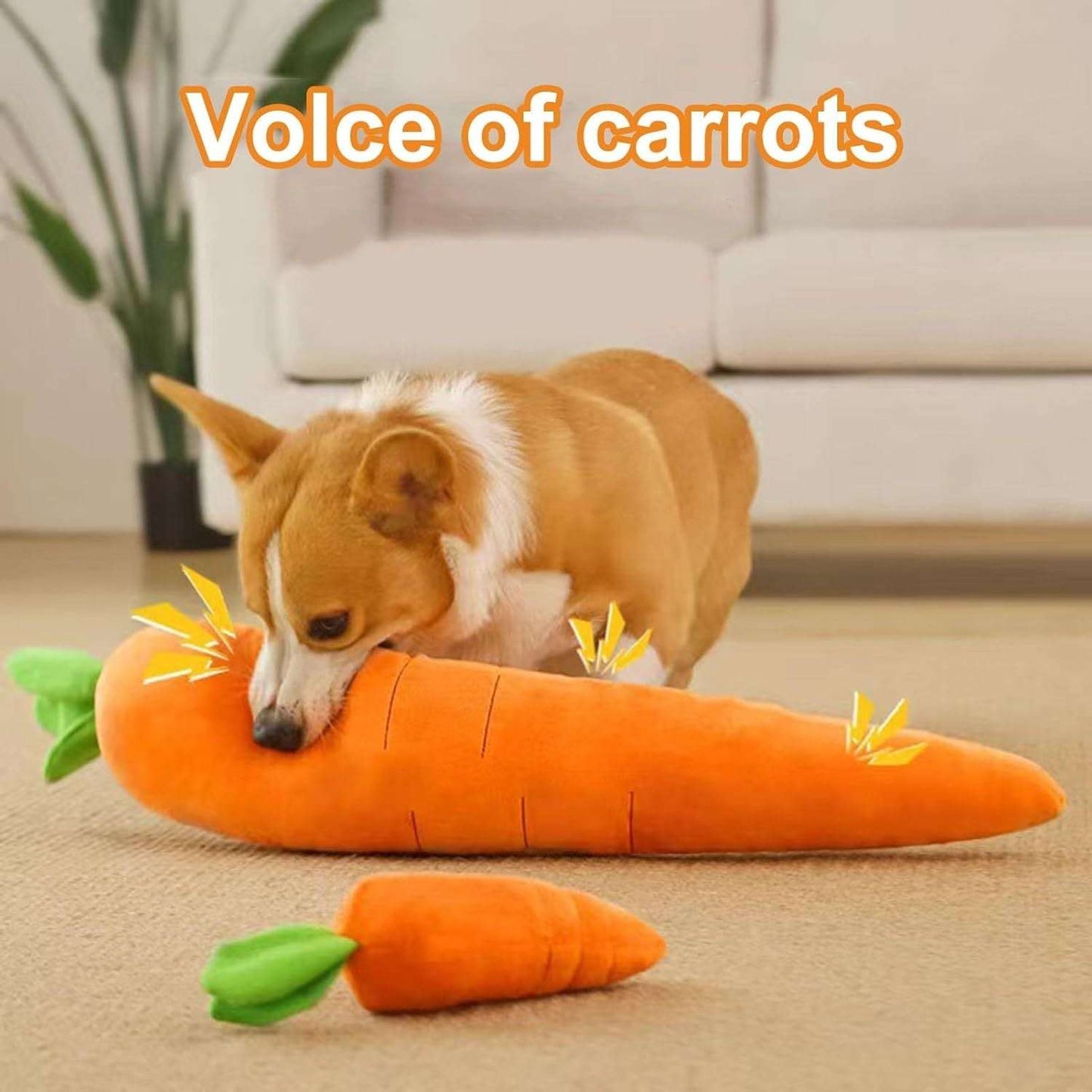 Dog playing with a carrot-shaped toy on a carpeted floor.