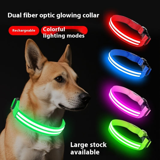 LED-veiligheidshalsband voor honden – Oplaadbaar voor nachtzicht | Paws for Tails
