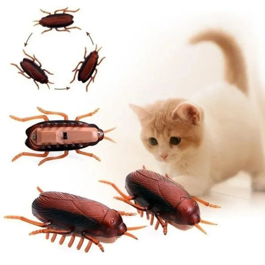 Cat playing with toy cockroaches on a white background