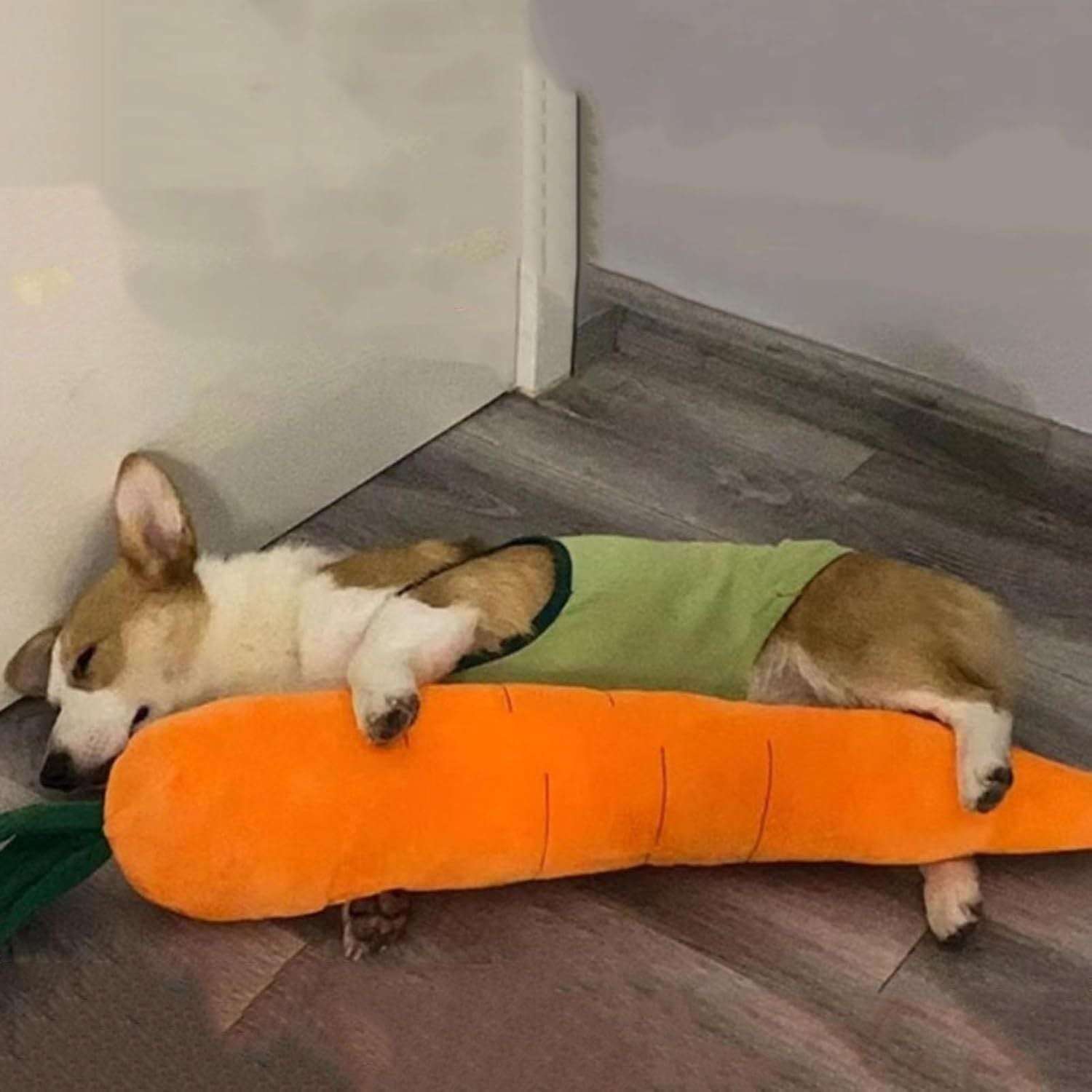 Adorable Carrot Squeaky Plush Dog Toy - Ultra-Soft & Bite-Resistant