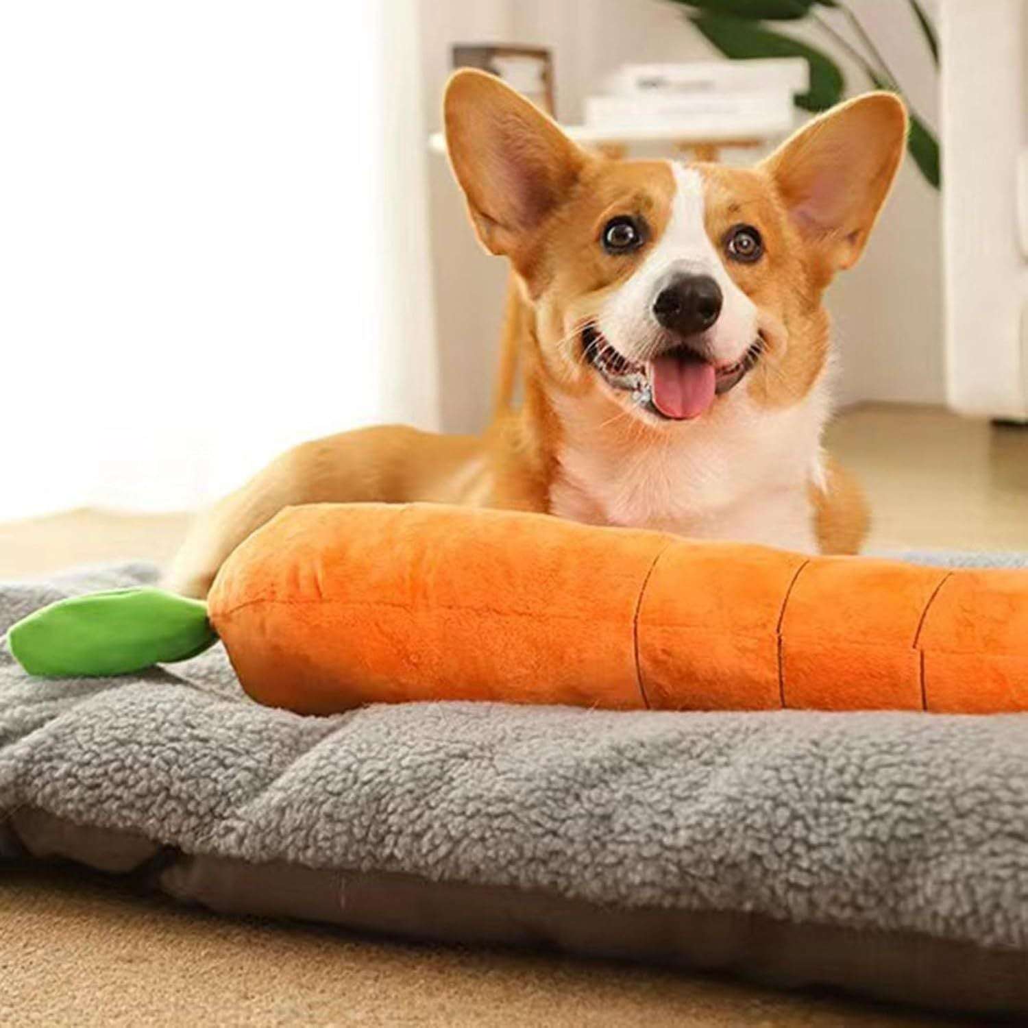Dog lying on a bed with an orange carrot-shaped pillow